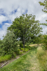 Hanging gardens of Le Havre (Jardins suspendusa) occupy a 17-hectare site in district of Sanvic in Le Havre. Hanging Gardens had some 3,700 plant. Le Havre, France. 