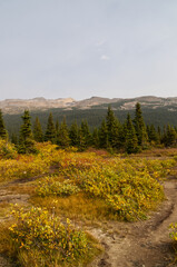 Autumn Scenery near Bow Lake