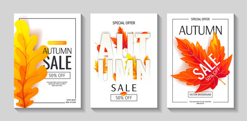 Fototapeta na wymiar Set of Autumn promo sale flyers or backgrounds with bright autumn leaves. A4 vector illustration for banner, poster, special offer, advertising, flyer, commercial.