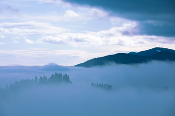 landscape of morning mountains sunrise above fogy forrest