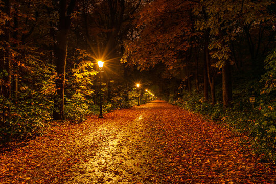 Mid Autumn In Quebec City