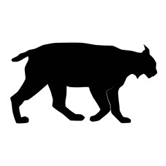 Euroasian lynx (Lynx lynx) walking from profile, vector silhouette of animal
