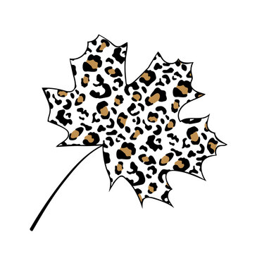 Maple leaf leopard