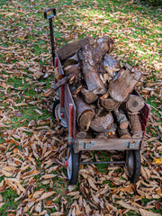 wagon with firewood