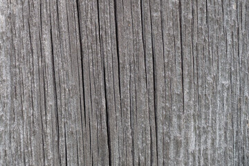 Fototapeta premium old gray board with vertical cracks