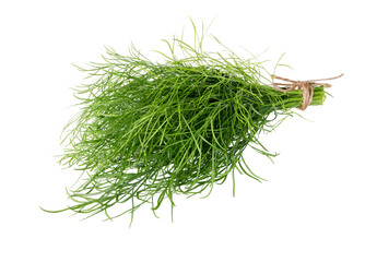 Dill isolated on white background.