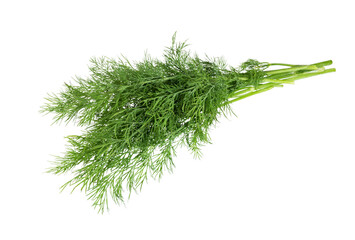 Dill isolated on white background.
