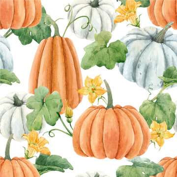 Beautiful autumn vector seamless pattern with watercolor pumpkin vegetables, leaves and flowers . Stock illustration.
