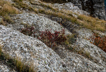 panoramic view of yellow autumn mountains against a background of blue haze and storm clouds filmed from a drone