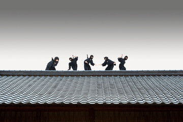 忍者 © Paylessimages