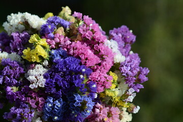 Bouquet of multicolored  flowers limonium on blurred green field background