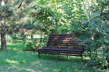 wooden bench in the Park in the early morning against the background of greenery