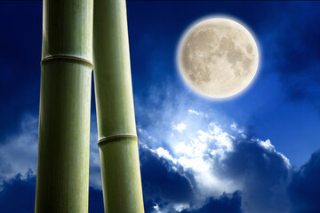 竹と満月