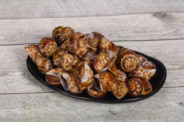 Tasty mollusk - spotted Babylon in the bowl