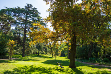 Horizontal view of a park with bench, grass and trees, a sunny autumn morning, in Madrid, Spain