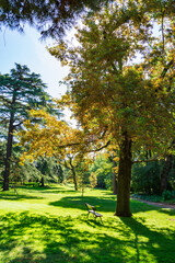 Vertical view of a park with bench, grass and trees, a sunny autumn morning, in Madrid, Spain