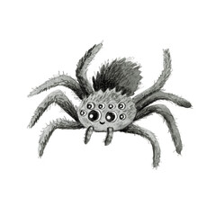 Watercolor grey cute spider. Isolated on white background. Design for Happy Halloween Halloween. Clipart. Cartoon. Insect concept. Black widow spider