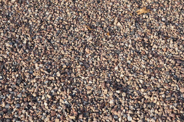 Pea gravel as a background.
