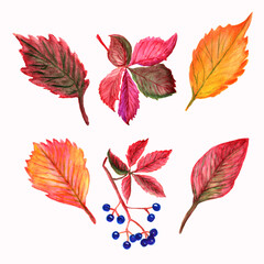 Watercolor clipart, autumn leaves, watercolor autumn, wreaths ,Wedding invitations ,garden autumn ,watercolor, autumn watercolor clipart, elements.Watercolor Clip Art Set