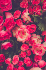 valentine day background. retro love roses flowers bouquet  close up