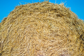 Yellow haystack close up
