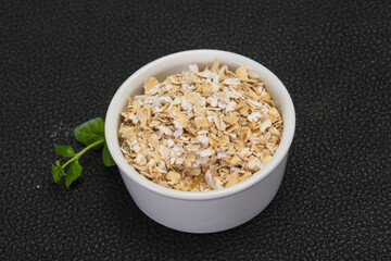 Raw oats in the bowl