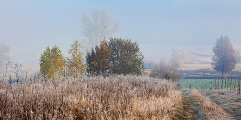empty rural fields in morning mist. countryside scenery in autumn.