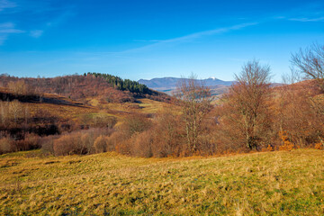 autumnal rural landscape of carpathian mountains. beautiful sunny weather on november frosty morning. trees with no foliage