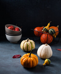  some colorful decorative pumpkins and autumn leaves on dark table