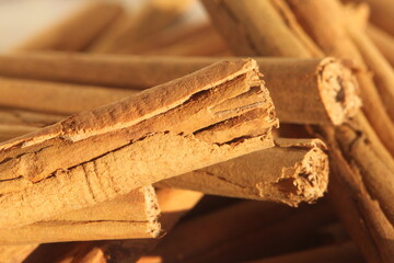 Canela - Cinnamomum zeylanicum,  Cinnamomum verum