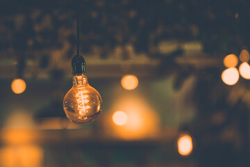 retro Edison light bulb decor close up