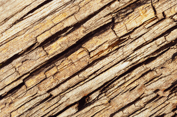 Beautiful diagonal texture of old weathered wood