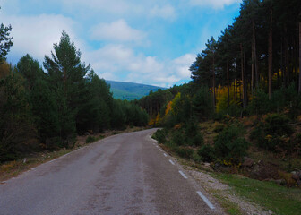 Fototapeta na wymiar View of a road in autumn in Soria