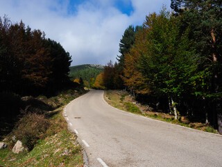 View of a road in autumn in Soria