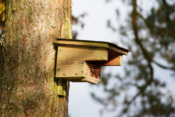 bird house on a tree