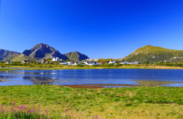 Summer on the Lofoten island in northern Norway