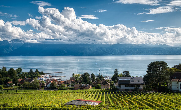 Le Lavaux
