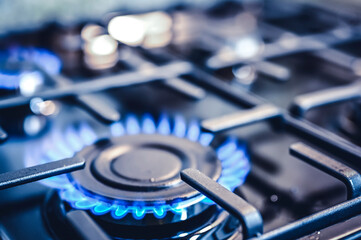 Modern kitchen stove cook. Gas flame close up on the gas stove. - obrazy, fototapety, plakaty