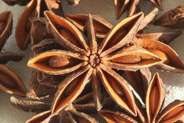 Anís estrellado, badiana de China - Illicium, verum