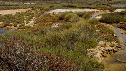 Visiting America, Antelope Park, Beautiful Mountains, Great Valley and more