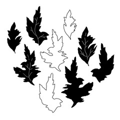 Set of monochrome contour and silhouettes leaves of chrysanthemum flowers drawn by hand isolated on white. Vector elements in botanical style for floral design, greeting card, poster, textile.