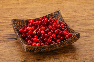 Sweet and tasty cranberry in the bowl