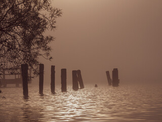 some different wooden poles are standing in the water of a lake in fog at sunrise