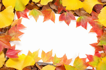 落ち葉のフレーム