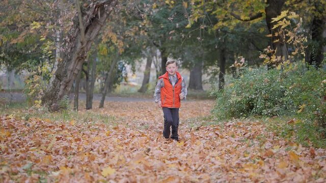 Outdoor Games. Autumn Landscape. Autumn. Children Play With Fallen Leaves Of Trees. The Boy Runs Through The Fallen Leaves Shuffling His Feet, Lifting The Autumn Leaves To The Top.