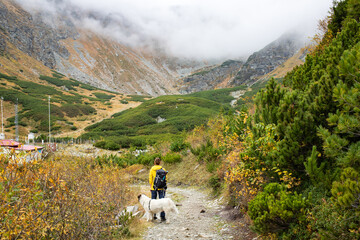 Fototapeta na wymiar woman and dog trekking in high mountains