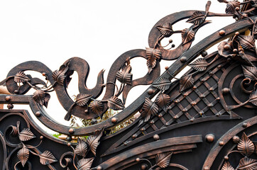 Modern chic metal gate decorated with wrought iron elements