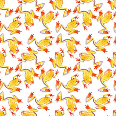 Hand drawn watercolor seamless pattern with colorful tree frogs. Stock illustration of tropical amphibians.