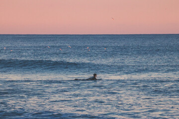 Obraz premium surfing in the sea