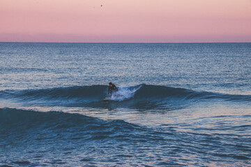Fototapeta premium surfing the wave